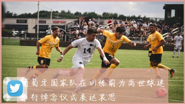葡萄牙国家队在训练前为离世球迷举行悼念仪式表达哀思